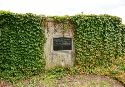 Vitčice, Omnium, 2020