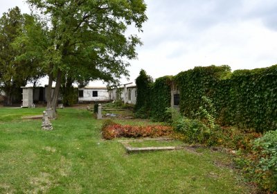 Vitčice, Omnium, 2020