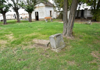 Vitčice, Omnium, 2020