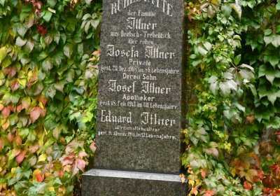 Vitčice, Omnium, 2020