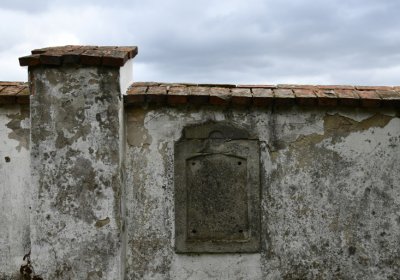 Vitčice, Omnium, 2020