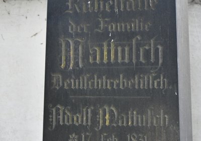 Vitčice, Omnium, 2020