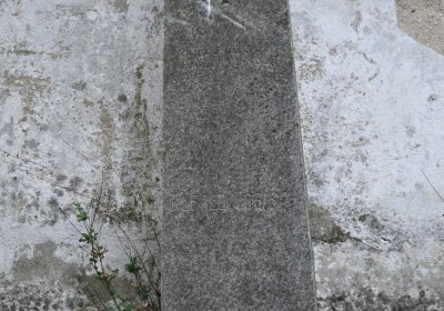 Vitčice, Omnium, 2020