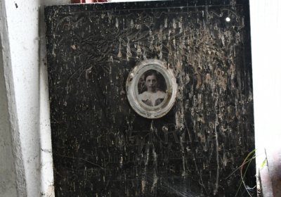 Vitčice, Omnium, 2020