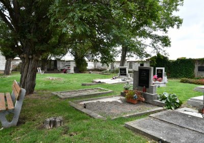 Vitčice, Omnium, 2020