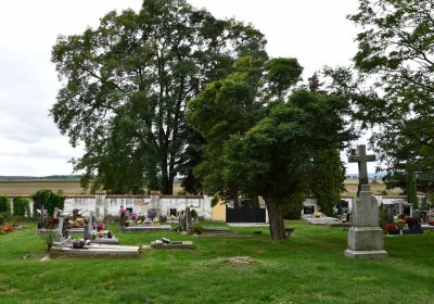 Vitčice, Omnium, 2020