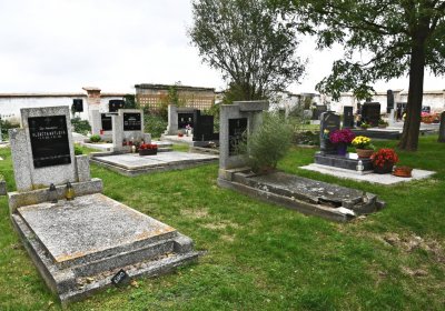 Vitčice, Omnium, 2020