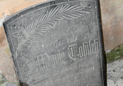 Vitčice, Omnium, 2020