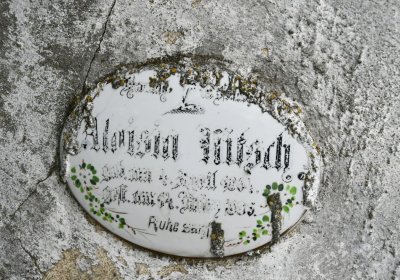 Veliká Ves, Omnium, 2020