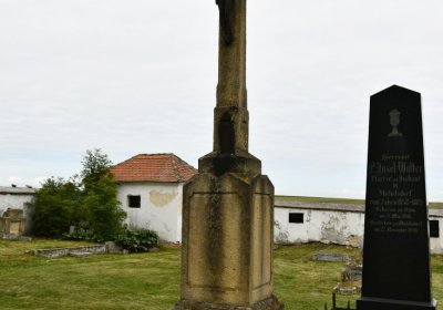 Veliká Ves, Omnium, 2020