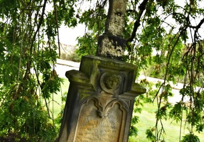 Široké Třebčice, Omnium, 2020