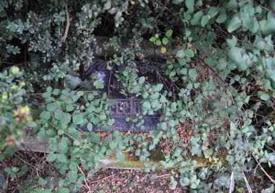 Široké Třebčice, Omnium, 2020