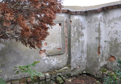 Široké Třebčice, Omnium, 2020