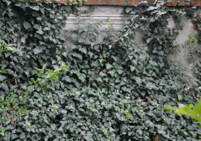 Široké Třebčice, Omnium, 2020