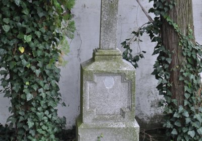 Široké Třebčice, Omnium, 2020