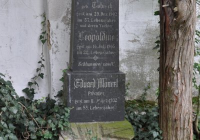 Široké Třebčice, Omnium, 2020