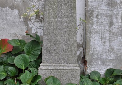 Široké Třebčice, Omnium, 2020