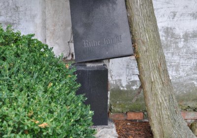 Široké Třebčice, Omnium, 2020