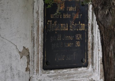 Široké Třebčice, Omnium, 2020