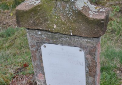 Široké Třebčice, Omnium, 2020