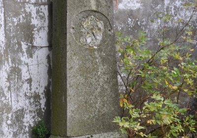 Široké Třebčice, Omnium, 2020