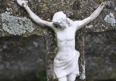 Široké Třebčice, Omnium, 2020