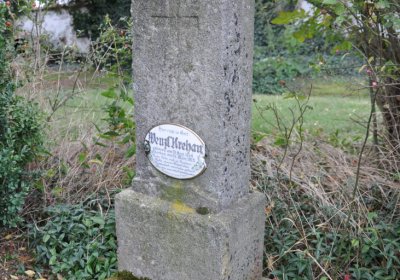 Široké Třebčice, Omnium, 2020