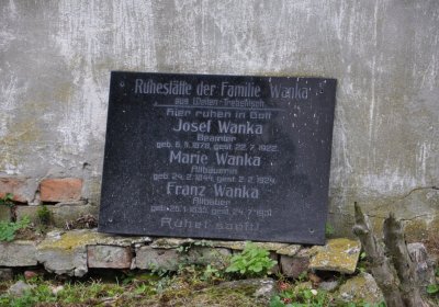 Široké Třebčice, Omnium, 2020