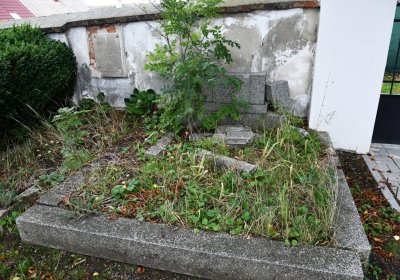 Široké Třebčice, Omnium, 2020