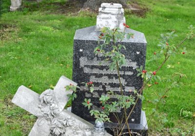 Široké Třebčice, Omnium, 2020