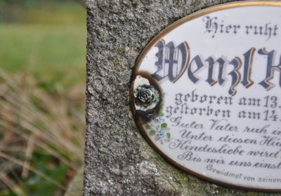 Široké Třebčice, Omnium, 2020