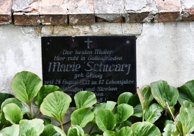 Široké Třebčice, Omnium, 2020