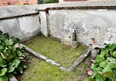 Široké Třebčice, Omnium, 2020