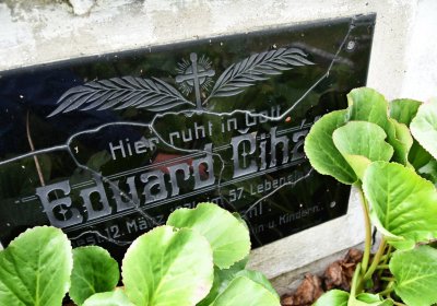 Široké Třebčice, Omnium, 2020