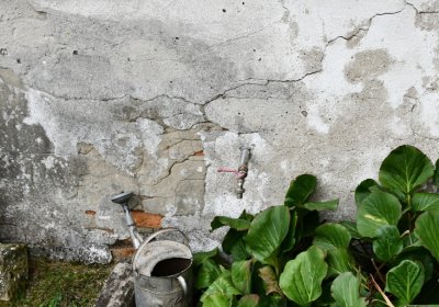 Široké Třebčice, Omnium, 2020