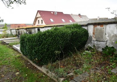 Široké Třebčice, Omnium, 2020