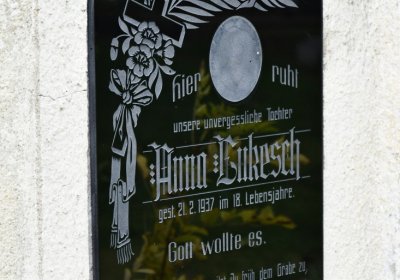 Široké Třebčice, Omnium, 2020