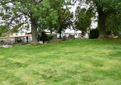 Široké Třebčice, Omnium, 2020