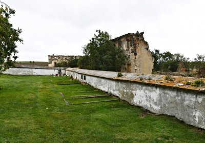 Široké Třebčice, Omnium, 2020