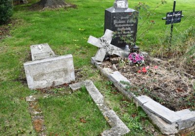 Široké Třebčice, Omnium, 2020