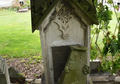 Široké Třebčice, Omnium, 2020