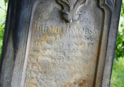 Široké Třebčice, Omnium, 2020