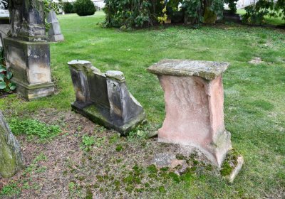 Široké Třebčice, Omnium, 2020