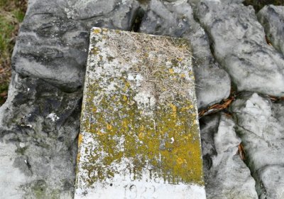 Široké Třebčice, Omnium, 2020