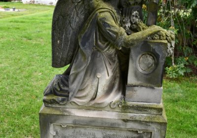 Široké Třebčice, Omnium, 2020