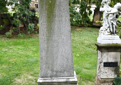 Široké Třebčice, Omnium, 2020