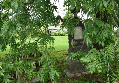 Široké Třebčice, Omnium, 2020