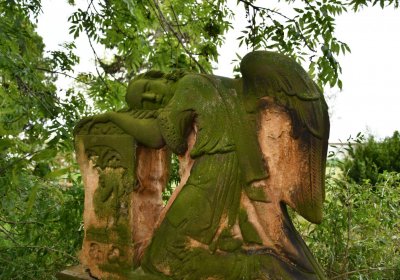 Široké Třebčice, Omnium, 2020