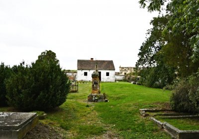 Široké Třebčice, Omnium, 2020