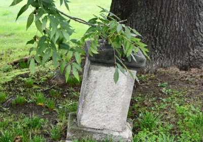 Široké Třebčice, Omnium, 2020